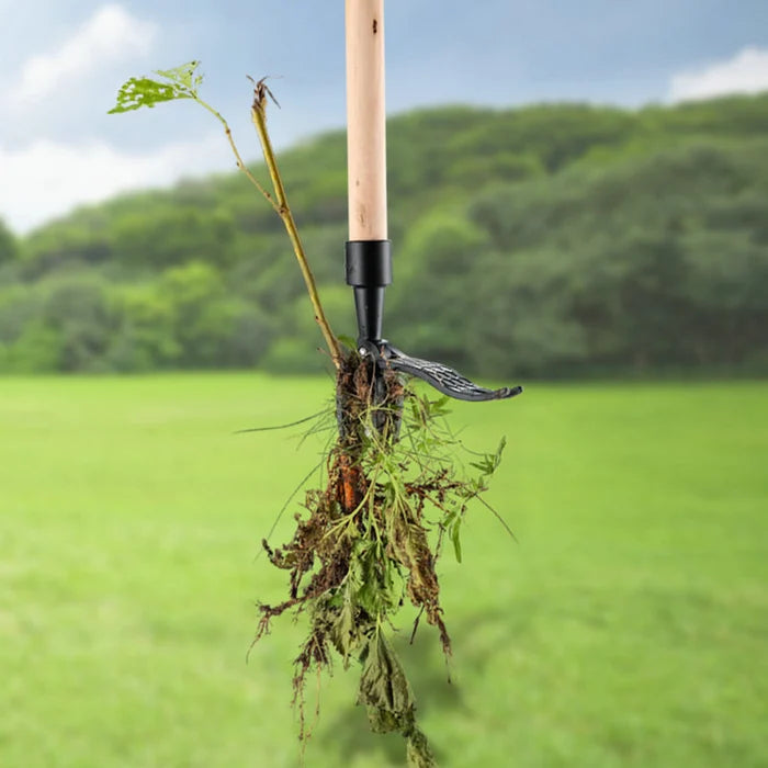 Narrow Gap Weeding Tool